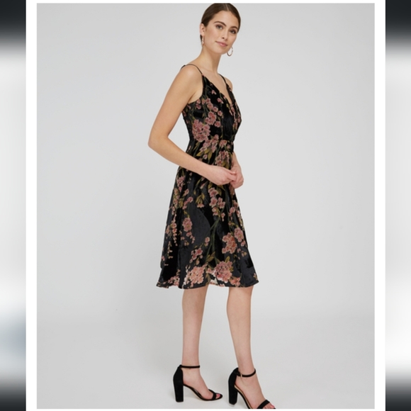 NWT Dex XS Velvet Burnout Dress, wrap style, midi length, with floral design - Picture 6 of 14